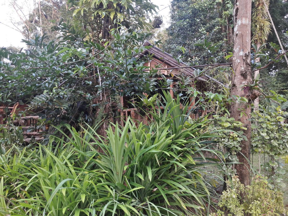 מלון Ko Kut Koh Kood Little Hut מראה חיצוני תמונה
